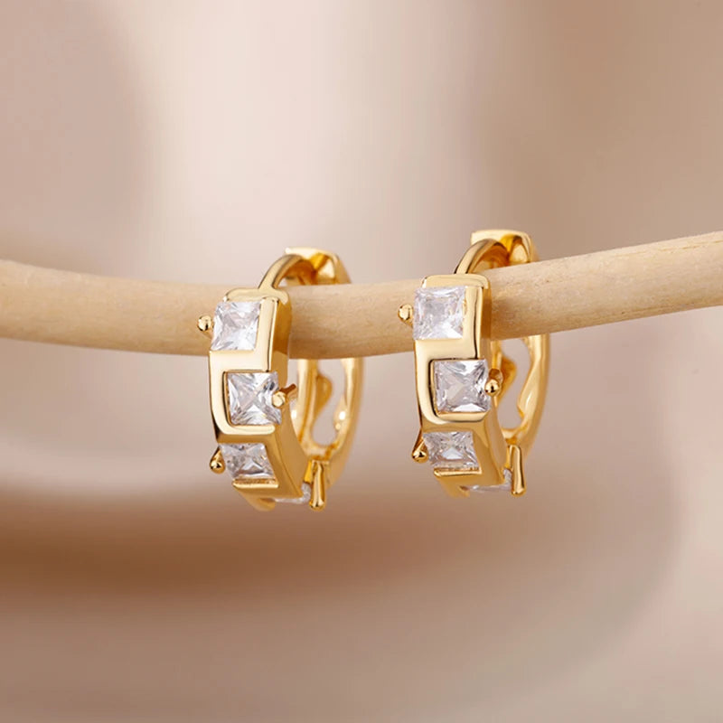 Zircon Luxury Hoop Earrings