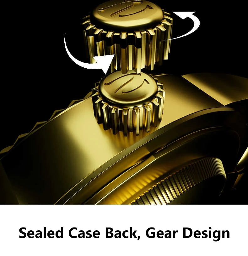 Luxury Gold Automatic Watch