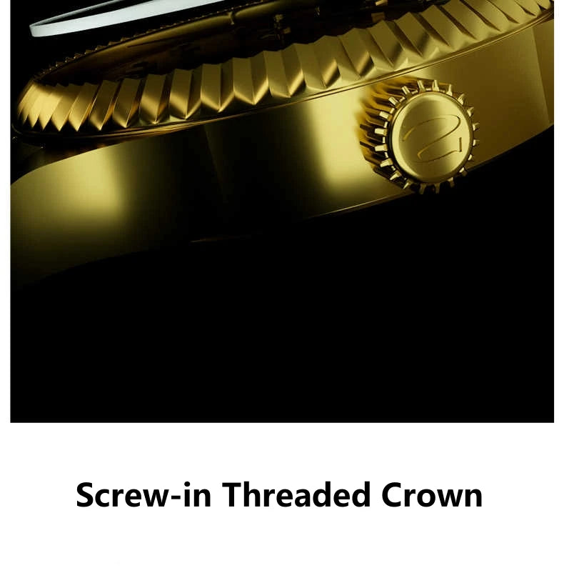 Luxury Gold Automatic Watch